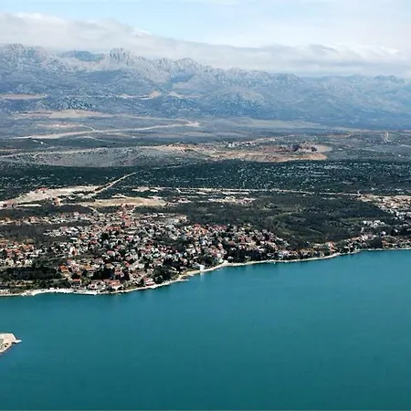 Vital Maslenica