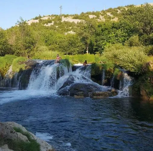 Vital Maslenica