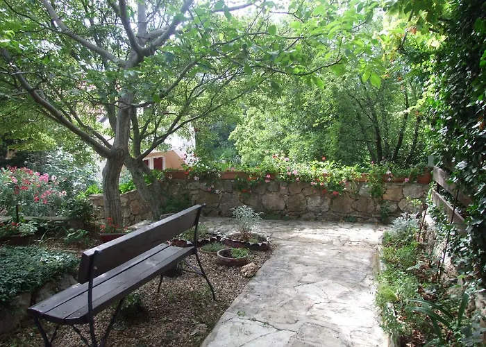 Vital * Масленица