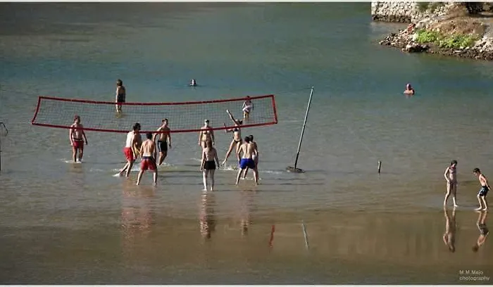 Vital Масленица