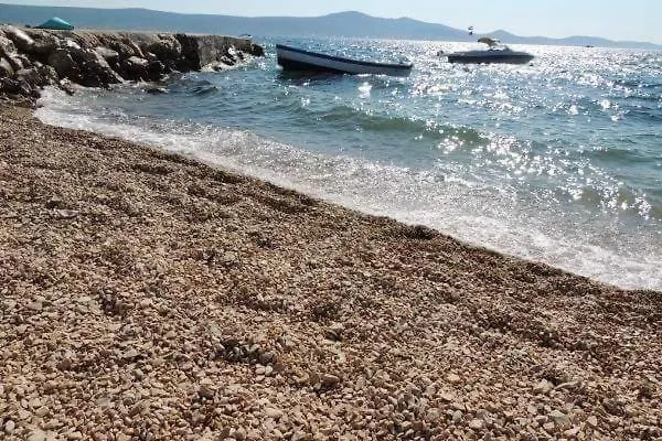 Vital * Масленица