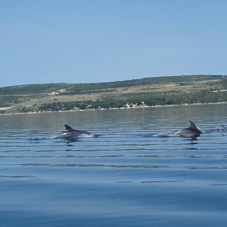 Vital Apartment Maslenica