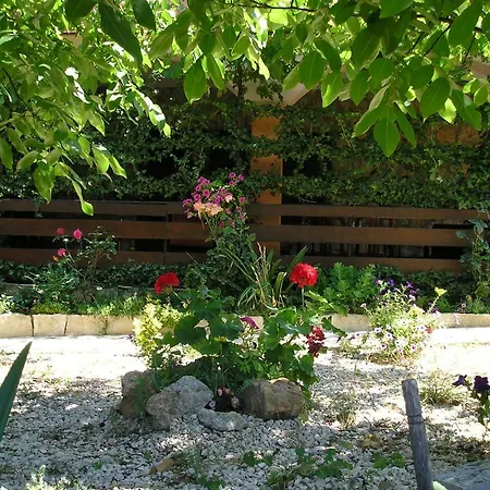 Vital Appartement Maslenica