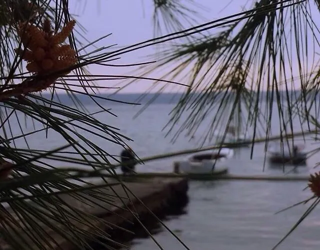 Appartamento Vital *